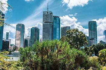 skyline, bybilledet, bygninger, træer, parkere, by-, hovedstadsområdet, forretningskvarter, brisbane, arkitektur, Australien