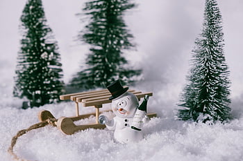 Schneemann, Wein, betrunken, Getränk, Alkohol, Feier, Winterschnee, kalt, Natur, Dekoration