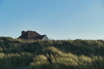 Dünen, Nordsee, Haus, Sand, Meer, Holland, Niederlande, Strand, Küste, Natur
