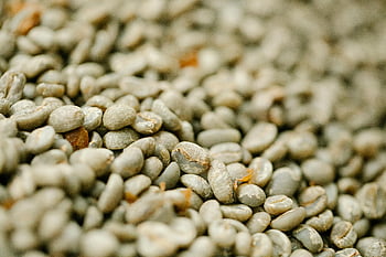 raw coffee beans, unroasted coffee, green coffee beans, coffee drying, daylight drying, close-up coffee, natural coffee, textured coffee, coffee bean texture, coffee bean close-up, unprocessed coffee