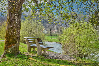 river, park, park Bench, bench, riverbank, nature, landscape