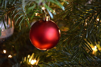 vánoční strom, dekorace, ornament, Vánoce, sezóna, červená cetka, červené vánoční koule, vánoční ozdoby, vánoční motiv, jedle, zdobené