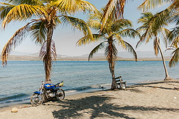 tropik sahil, Kumlu plaj, motosiklet, avuç içi, Dominik Cumhuriyeti, Palmiye ağaçları, park edilmiş motosiklet, manzaralı plaj, tropikal manzara, plaj manzarası, Plajda motosiklet