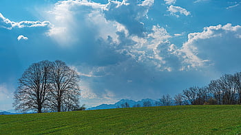 fält, träd, kulle, himmel, moln, äng, landskap, natur