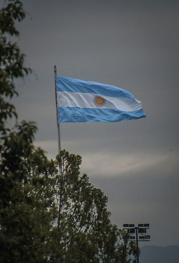 argentinske flag, grå himmel, salta, argentina, patriotisme, flyvende flag, udendørs scene, overskyet vejr, nationalt symbol, træer, flagstang