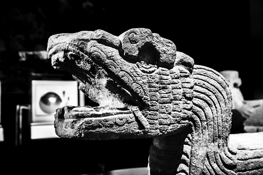 opeřený had, maya, kámen, sochařství, starověké, muzeum, Černý a bílý, světlo a stín, kukulkan, quetzalcoatl, krytý