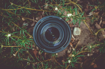 Černá objektiv fotoaparátu DSLR, zelená listová rostlina, fotografování, Harmonie přírody, kamerové čočky, zelené rostliny, fotografování přírody, venkovní fotografie, objektiv v přírodě, Přírodní fotografie, čočka dslr