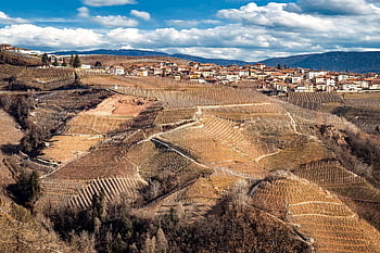 Trento, Olaszország, szőlőskert, szőlő, dolomitok, tájkép, természet, hegyek, felhők, ég