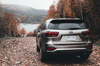SUV Kia, polní cesta, podzimní listí, Scénický venkovní pohled, rustikální silnici, zpětný pohled, zaparkované auto, zářivé listy, venkovní scenérie, podzimní sezónu, Vozidlo Kia