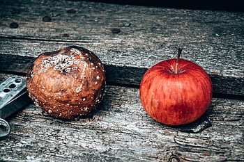 사과, 썩은 사과, 썩은 과일, 과일, 플로라, 자연, 매크로 사진