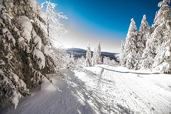 winter Landscape, tracks In The Snow, winter, snow, snow Landscape, winter Forest, snow Trail, snowy, ore Mountains, fichtelberg, cold