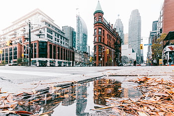 อาคารโบราณ, อาคาร Gooderham, โตรอน, ภูมิทัศน์เมือง, การสะท้อน, บ่อ, วิวเมืองที่โดดเด่น, cityscape, สถาปัตยกรรมโบราณ, เมืองโตรอนโต, ฤดูใบไม้ร่วง