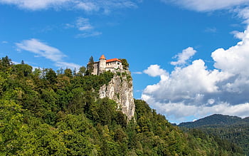 hrad, pevnost, stromy, les, kopec, hora, Příroda, památník, středověk, mezník