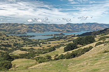 new Zealand, banks Peninsula, peninsula, akaroa Bay, bay, water, canterbury, christchurch, south Island, nature, landscape