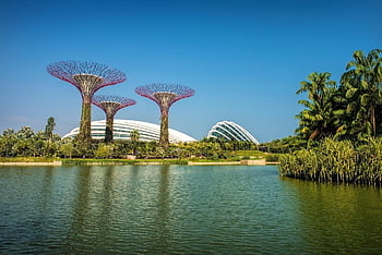 zahrady u zálivu, květinová kopule, záliv, singapore, architektura, moderní, budov, město, nábřeží, voda, park