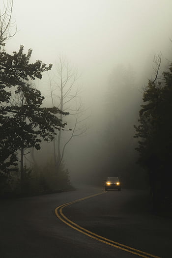 mlhavé silnici, les, auto reflektory, zamlžené nebe, tajemnou atmosféru, klikatá cesta, stromy, nízká viditelnost, brzy ráno, přírodní scéna, cestovní fotografie