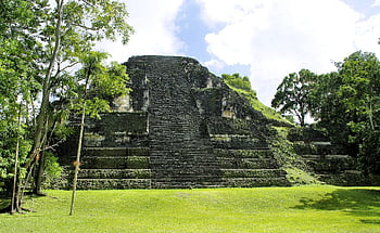 guatemala, nature, tikal, pyramid, maya, cited, ruins, civilization, pre-columbian, temple, culture