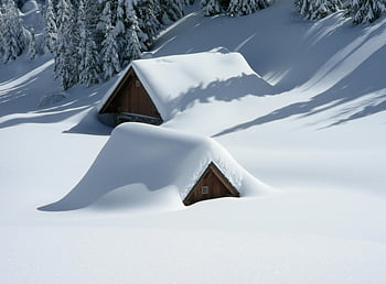 Snow-pokryté kabiny, zimní les, hnědý dřevěný dům, borovice, klidné krajiny, Sezónní tapety, milovníky přírody, zasněžené krajiny, zimní scény, Kabina ve sněhu, zimní kabiny