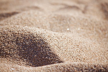 beach, sand, dunes, landscape, sardinia, nature, italy, close Up, macro