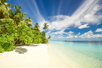 pláž, tyrkysové vody, palmy, atol laamu, Maledivy, Pristine Beach, modrá obloha, zelené stromy, pobřeží, tropický ráj, bílý písek