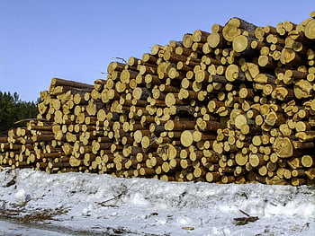 logs, stack, logging, lumber, clearing, building Materials, woodworking, stocks, industry, round Timber