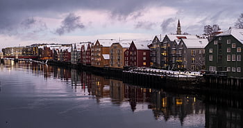 trondheim, norway, nature, city, fjord, scandinavia, houses, winter, snow, travel, holiday