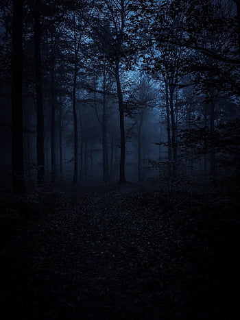 forest, darkness, trees, dark, nature, path, fog, sadness, depression, lonely, scary