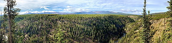 Yellowstone, Parco Nazionale di Yellowstone, parco, paesaggio, Wyoming, natura, foresta, all'aperto, natura selvaggia, scenario, panoramico