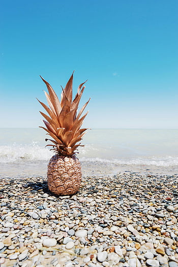 painted pineapple, pebble beach, rose gold pineapple, seascape, blue sky, tropical fruit, beach photography, summer vibe, coastal art, fruit art, pineapple art