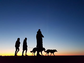 dike, sunset, north Sea, heaven, mood, landscape, dusk, eve, silence, st Peter Ording, dogs