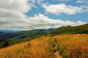 Bieszczady, hegyek, Lengyelország, tájkép, természet, Kilátás, ünnep, felsők, ég, idegenforgalom, nyom