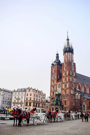 Basilica gotica di Santa Maria, carrozze trainate da cavalli, Cracovia, Polonia, destinazione turistica, Charriots, strada, edificio in cemento marrone, architettura gotica, città europea, punto di riferimento storico