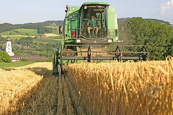 kombajn, ječmen, obilí, zemědělství, zemědělské stroje, sklizeň, pole