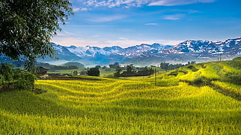 horské krajiny, hory, krajina, steinweg, Příroda, horská turistika, turistika, horské vrcholy, vysokohorský, louka, schodiště