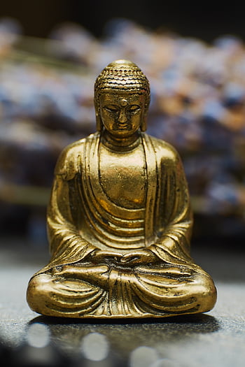 socha, sochařství, postava, Buddha, zlato, buddhismus, Buddha Purnima, rozjímání, náboženství, chrám, zlatý