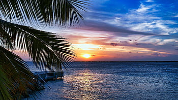 moře, západ slunce, palmy, Příroda, horizont, karibský, bonaire