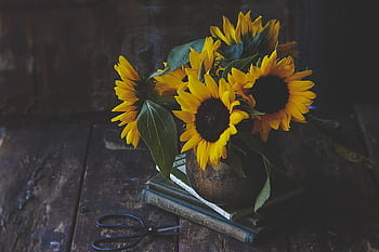 flower, arrangment, table, bouquet, colorful, fresh, rustic, floral, festive, summer, bloom