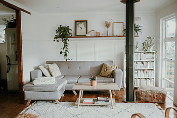 interior scandinav, sufragerie, decor modern de acasă, luminos confortabil, canapea, plante, raft de cărți, covor alb, podea de lemn, design minimalist, lumina naturala