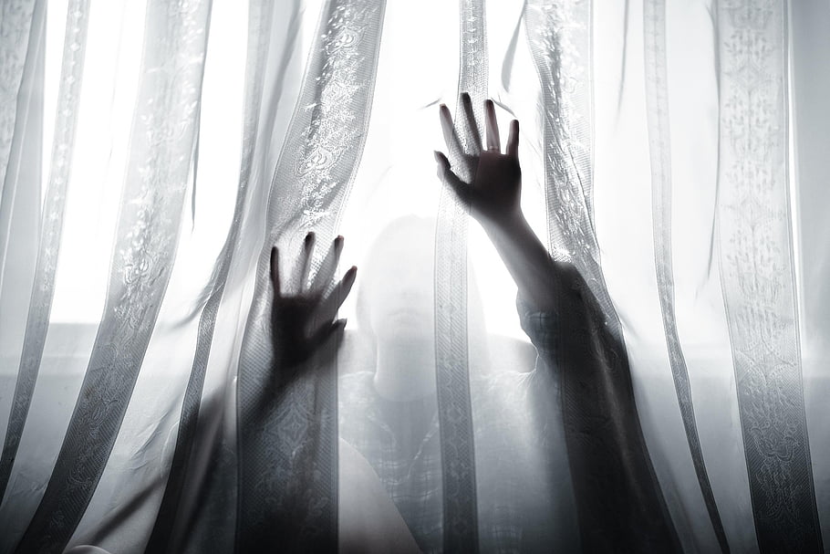 hands, curtains, window, tulle, light, silhouette, young Woman