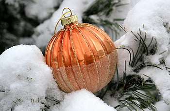 christmas Ornament, christmas Balls, spruce, conifer, merry Christmas, snow, christmas Motif, christmas, fir Branch, christmas Greeting, nature