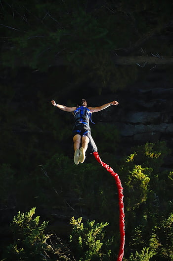 bungee Jumping, jump, adventure, extreme, activity, recreation, cliff, mountain, trees, whistler, canada