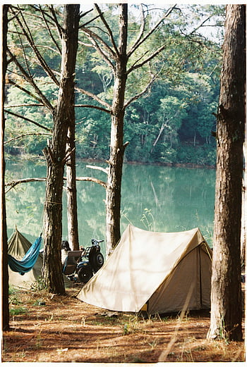 tält vid sjöstranden, lugn campingplats vid sjön, tält, hängmatta, träd, utomhusäventyr, lakes vid campingen, skogsband, campingutrustning, lugn campingplats, sjöutsikt