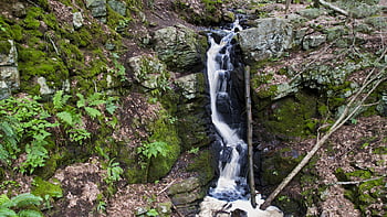 cascada, bosque, corriente, naturaleza, río, agua, paisaje, rocas, chapoteo, ambiente, fluido