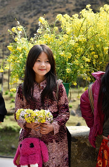 ha giang, Vietnam, květinová reforma, jaro, Příroda, žluté květy, mladá dívka, dítě