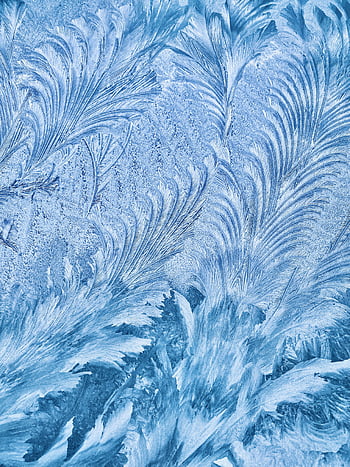frost pattern, ice formations, winter pattern, seasonal themes, close-up, natural ice, detailed frost, winter frost, ice art, frost design, winter frost pattern