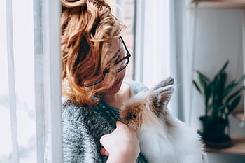 woman holding rabbit, young woman, glasses, fluffy rabbit, indoors, near window, cuddling rabbit, pet rabbit, indoor pet, woman with glasses, fluffy pet