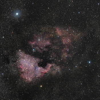 空の星、 北アメリカ星雲、 鮮やかな色、 複雑な星の形成、 夜空、 天体、 深宇宙、 天文学的な写真、 星団、 星雲、 宇宙の雲
