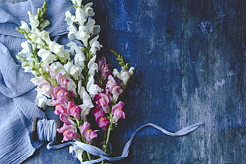 fiore, tavolo, mazzo, colorato, fresco, rustico, floreale, festivo, estate, fioritura, petali