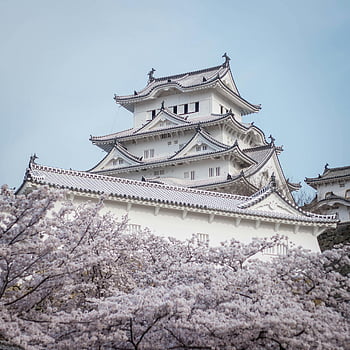 hrad himeji, bílé třešňové květy, jaro, Japonsko, nádherný výhled, třešňové květy, himeji, hrad, japonské architektury, bílé květy