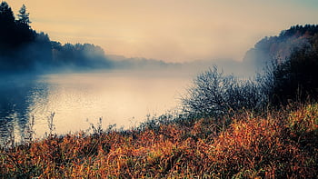 mlha, jezero, banka, voda, tráva, louka, Příroda, ráno, svítání